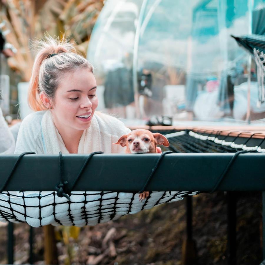 Chami Glamping Villa Manizales Kültér fotó