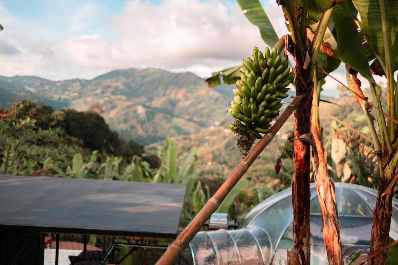 Chami Glamping Villa Manizales Kültér fotó