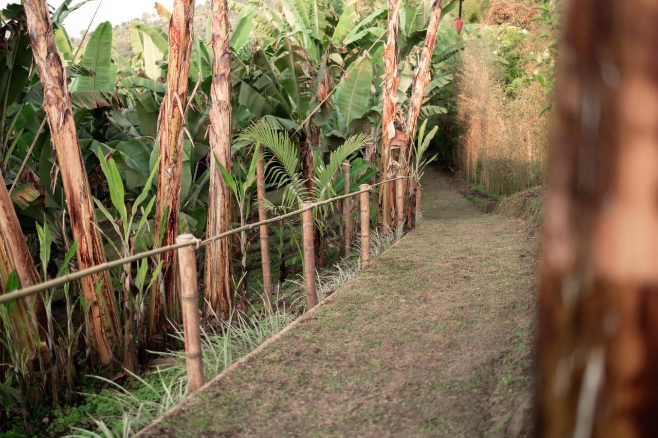 Chami Glamping Villa Manizales Kültér fotó