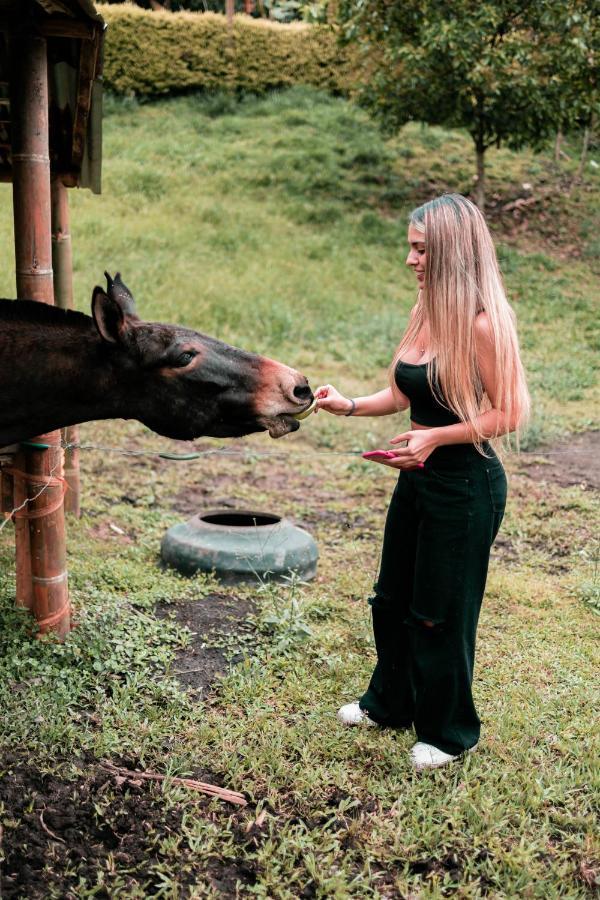 Chami Glamping Villa Manizales Kültér fotó