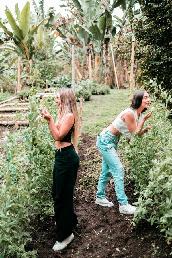 Chami Glamping Villa Manizales Kültér fotó