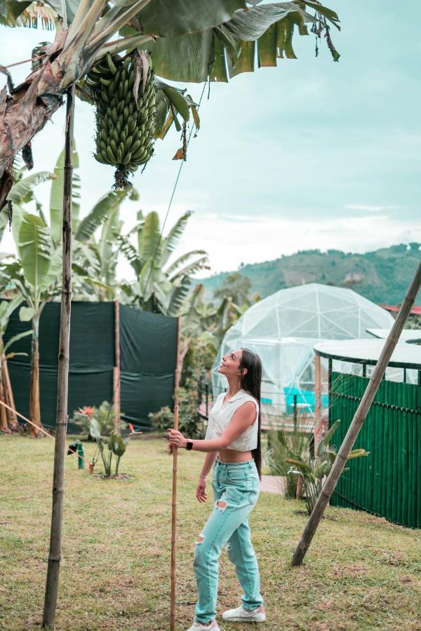 Chami Glamping Villa Manizales Kültér fotó