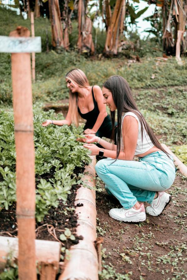 Chami Glamping Villa Manizales Kültér fotó