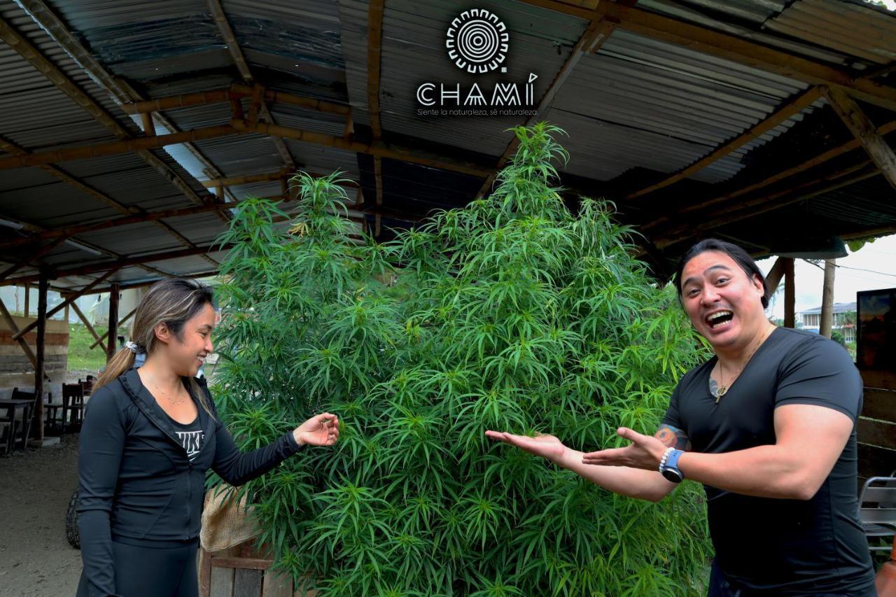 Chami Glamping Villa Manizales Kültér fotó