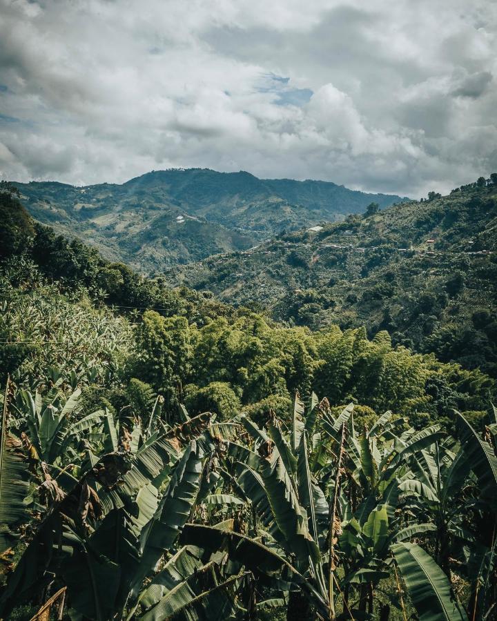 Chami Glamping Villa Manizales Kültér fotó