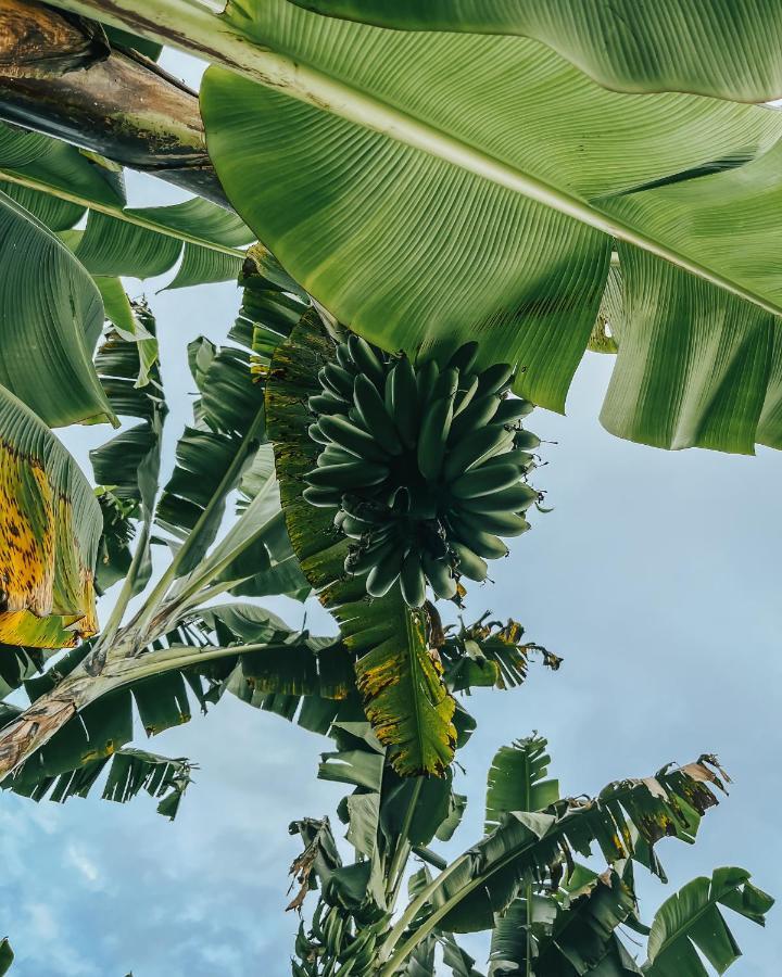 Chami Glamping Villa Manizales Kültér fotó