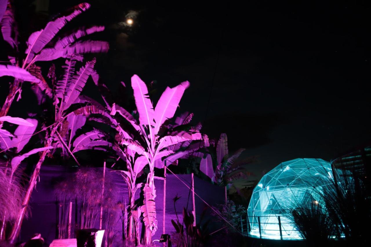 Chami Glamping Villa Manizales Kültér fotó