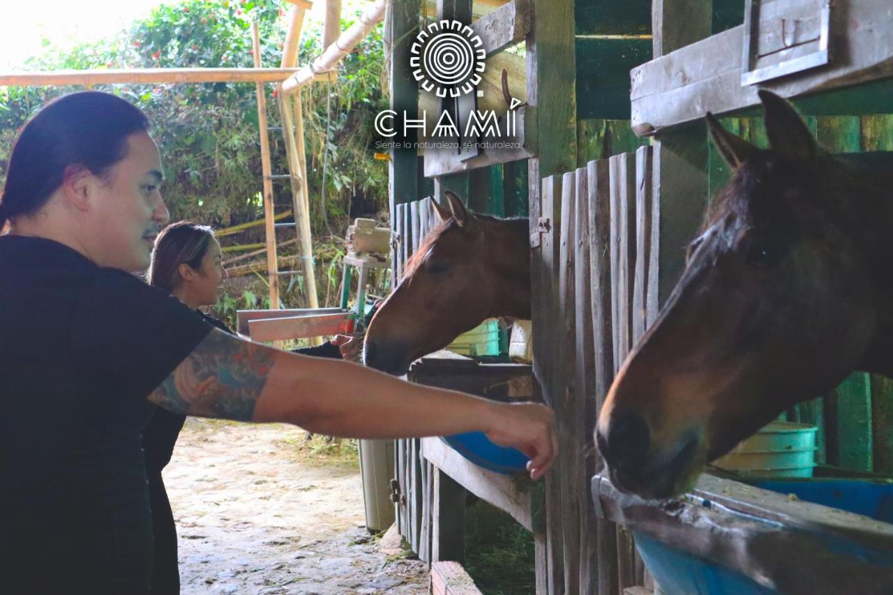Chami Glamping Villa Manizales Kültér fotó