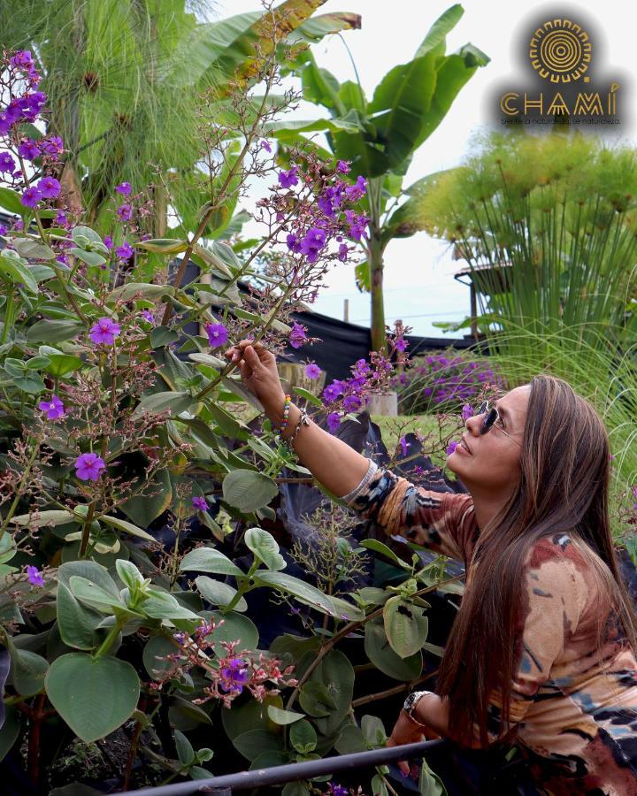 Chami Glamping Villa Manizales Kültér fotó